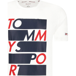 Vêtements Homme T-shirts manches courtes Tommy Hilfiger S20S200052 Blanc