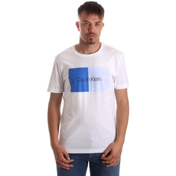 Vêtements Homme T-shirts manches courtes Calvin Klein Jeans K10K103497 Blanc