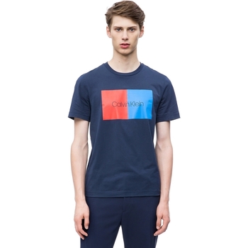 Vêtements Homme T-shirts manches courtes Calvin Klein Jeans K10K103497 Bleu
