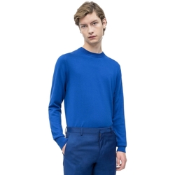 Vêtements Homme Pulls Calvin Klein Jeans K10K103690 Bleu