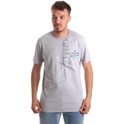 Vêtements Homme T-shirts manches courtes Navigare NV31085AD Gris