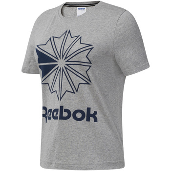 Vêtements Femme T-shirts manches courtes Reebok Sport DT7221 Gris