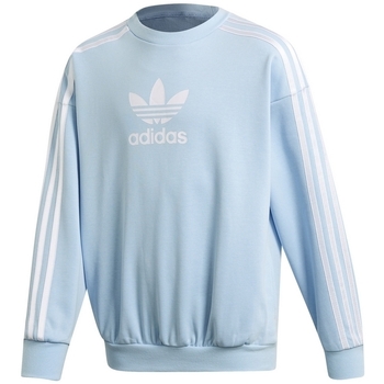 Vêtements Enfant Sweats adidas Originals DV2364 Bleu