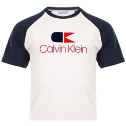 Vêtements Homme T-shirts manches courtes Calvin Klein Jeans K10K104040 Bleu