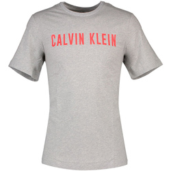 Vêtements Homme T-shirts manches courtes Calvin Klein Jeans 00GMF8K160 Gris