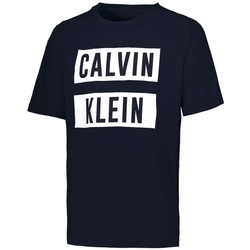 Vêtements Homme T-shirts manches courtes Calvin Klein Jeans 00GMT9K222 Noir