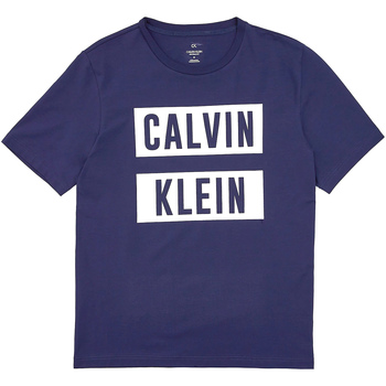 Vêtements Homme T-shirts manches courtes Calvin Klein Jeans 00GMT9K222 Bleu