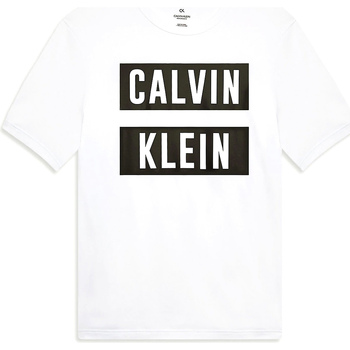 Vêtements Homme T-shirts manches courtes Calvin Klein Jeans 00GMT9K226 Blanc