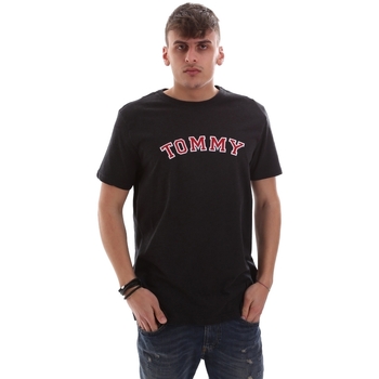 Vêtements Homme T-shirts manches courtes Tommy Hilfiger UM0UM01623 Gris