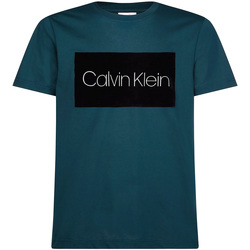 Vêtements Homme T-shirts manches courtes Calvin Klein Jeans K10K105136 Vert