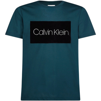 Vêtements Homme T-shirts & Polos Calvin Klein Jeans K10K105136 Vert