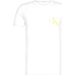 Vêtements Homme T-shirts manches courtes Calvin Klein Jeans J30J315175 Blanc