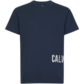 Vêtements Homme T-shirts manches courtes Calvin Klein Jeans 00GMH9K287 Bleu
