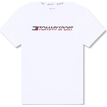 Vêtements Homme T-shirts manches courtes Tommy Hilfiger S20S200051 Blanc