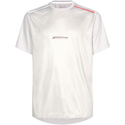 Vêtements Homme T-shirts manches courtes Tommy Hilfiger S20S200330 Gris