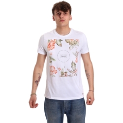 Vêtements Homme T-shirts manches courtes Gaudi 011BU64070 Blanc
