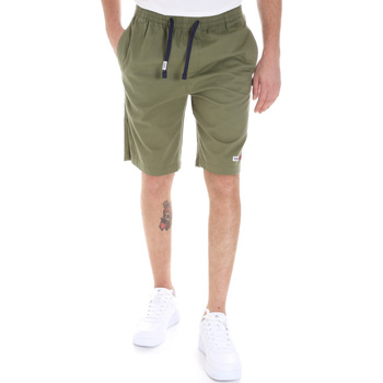 Vêtements Homme Shorts / Bermudas slide Tommy Jeans DM0DM08714 Vert