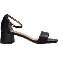 Chaussures Femme Sandales et Nu-pieds Grace Shoes 809001 Noir
