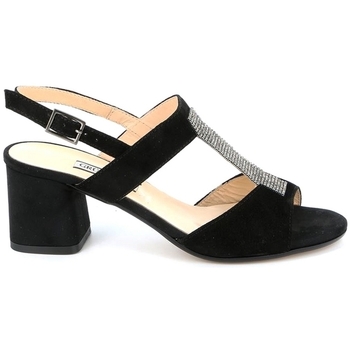 Chaussures Femme Sandales et Nu-pieds Grunland SA2516 Noir