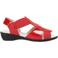 Chaussures Femme Sandales et Nu-pieds Susimoda 265604-02 Rouge