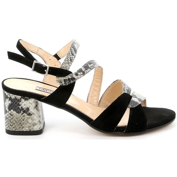 Chaussures Femme Sandales et Nu-pieds Grunland SA2515 Noir