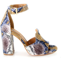 Chaussures Femme Sandales et Nu-pieds Grace Shoes Jane 018N026 Marron