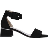 Chaussures Femme Sandales et Nu-pieds Comart 3C3421 Noir