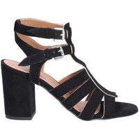 Chaussures Femme Sandales et Nu-pieds Mally 6272 Noir