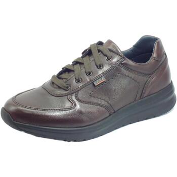 Chaussures Homme Boots Zen 178393 Marron