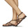 Chaussures Femme Sandales et Nu-pieds Jonak WHITNEY Marron