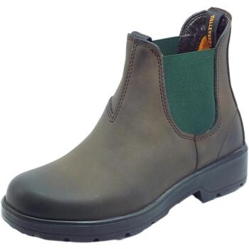 Chaussures Femme Low boots Valleverde 36892 Ingrassato Marron