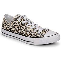 Chaussures Femme Baskets basses Converse CHUCK TAYLOR ALL STAR ARCHIVE PRINT OX Leopard