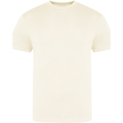 Vêtements Homme T-shirts Sweatshirt manches courtes Awdis JT100 Blanc cassé