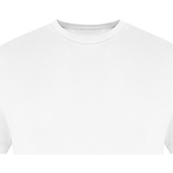 Vêtements Homme T-shirts Sweatshirt manches courtes Awdis JT100 Blanc
