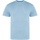 Vêtements Homme T-shirts manches longues Awdis The 100 Bleu