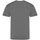 Vêtements Homme T-shirts manches longues Awdis JT100 Gris