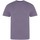 Vêtements Homme T-shirts manches longues Awdis The 100 Violet