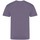 Vêtements Homme T-shirts manches longues Awdis The 100 Violet