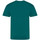 Vêtements Homme T-shirts manches longues Awdis The 100 Vert