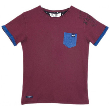 Vêtements Garçon T-shirts & Polos Kaporal T-Shirt garçon Merip Grape Bordeaux Violet