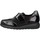 Chaussures Derbies & Richelieu Pinoso's 7919G Noir