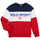 Vêtements Garçon Sweats Polo Ralph Lauren TRINITA Multicolore