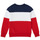 Vêtements Garçon Sweats Polo Ralph Lauren TRINITA Multicolore