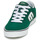 Chaussures Homme Baskets basses Etnies WINDROW VULC Vert / Blanc