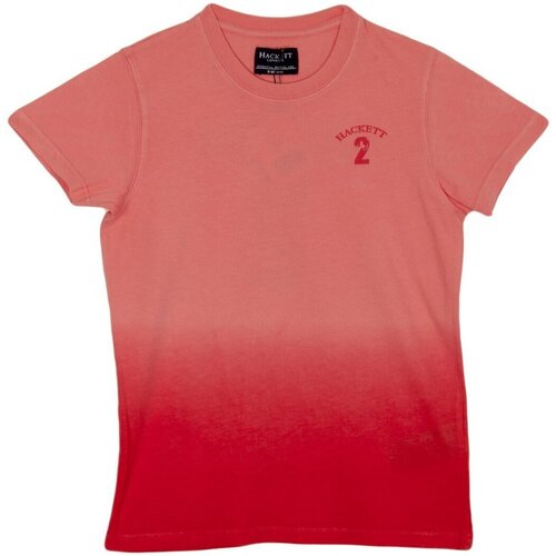 Vêtements Garçon T-shirts Girls manches courtes Hackett HK500145-135 Rouge