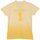 Vêtements Garçon T-shirts manches courtes Hackett HK500146-043 Jaune