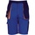 Vêtements Homme Shorts Blue / Bermudas Result R319X Orange