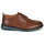 Chaussures Homme Derbies Clarks CHANTRY WING Marron