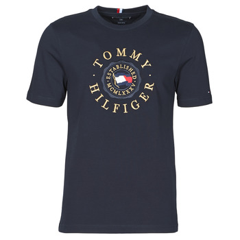 Vêtements Homme T-shirts manches courtes Tommy Hilfiger ICON COIN TEE Marine