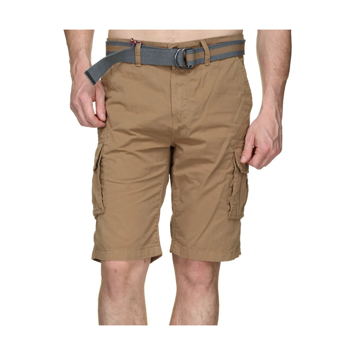 Vêtements Homme Shorts / Bermudas Teddy Smith 10414401D Marron